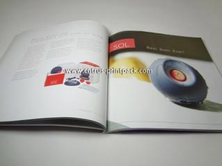 Advertising & Marketing Brochure